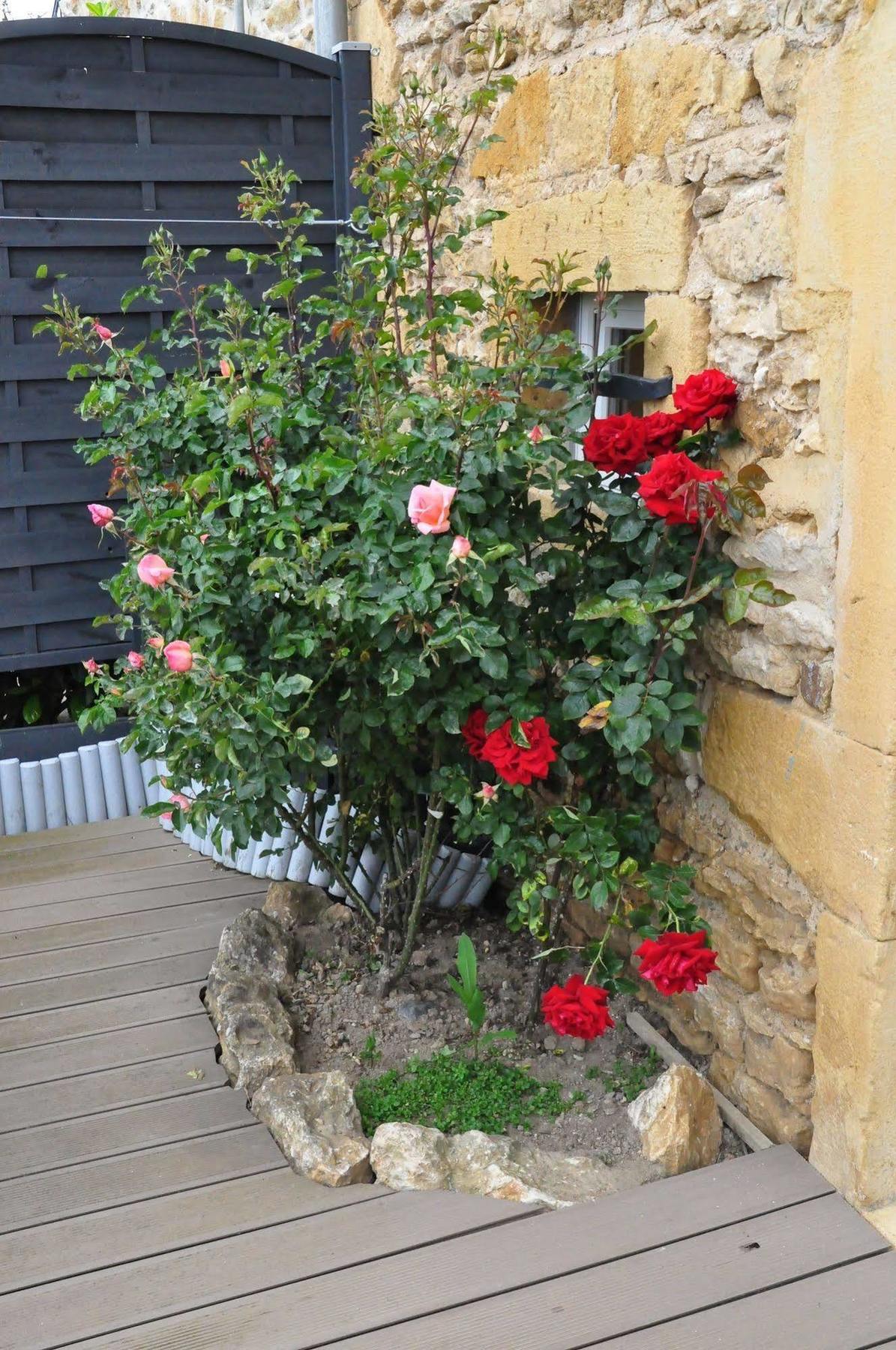 克劳斯博若莱住宿加早餐旅馆 Saint-Germain-Nuelles 外观 照片